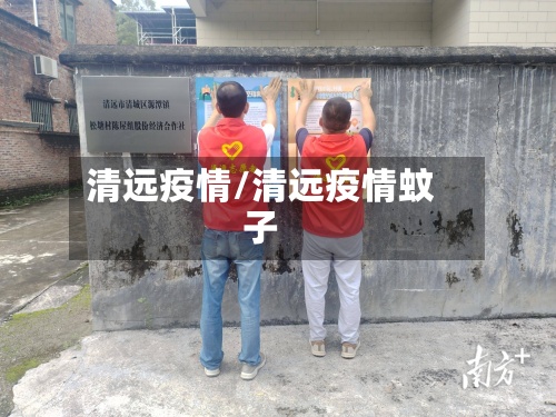 清远疫情/清远疫情蚊子-第2张图片