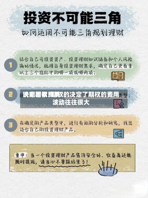 说明期权费用
决定因素/期权的决定了期权的费用
波动往往很大
