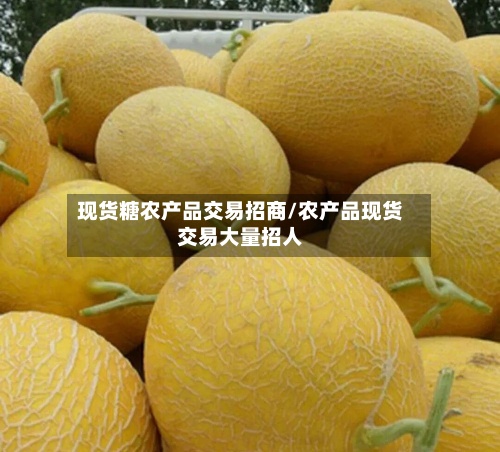 现货糖农产品交易招商/农产品现货交易大量招人-第2张图片