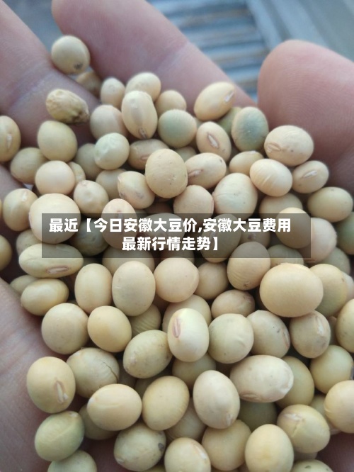 最近【今日安徽大豆价,安徽大豆费用
最新行情走势】