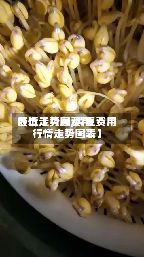 最近【黄豆费用行情走势图,黄豆费用行情走势图表】