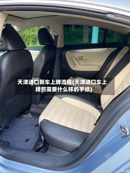 天津进口新车上牌流程(天津进口车上牌照需要什么样的手续)