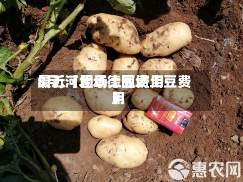 最近【围场土豆费用
8月,河北承德围场土豆费用
】-第2张图片