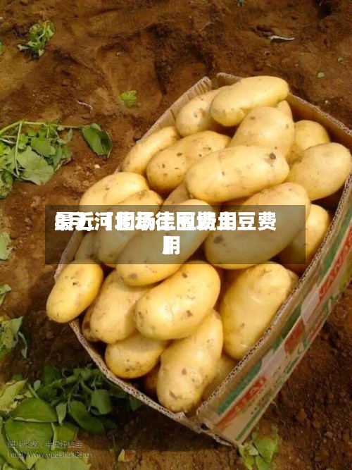 最近【围场土豆费用8月,河北承德围场土豆费用】