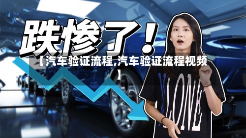 【汽车验证流程,汽车验证流程视频】-第3张图片