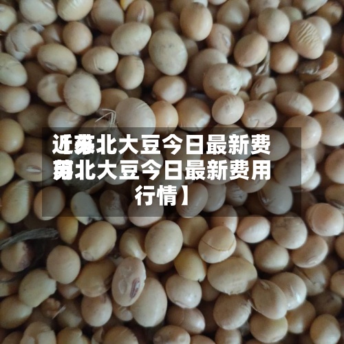 近来【苏北大豆今日最新费用苏北大豆今日最新费用行情】