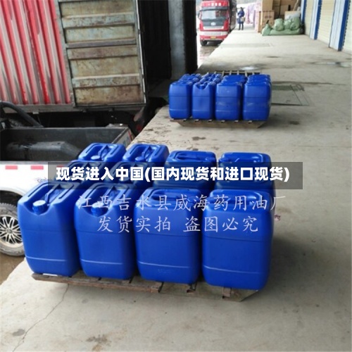 现货进入中国(国内现货和进口现货)-第2张图片