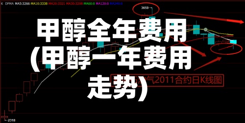 甲醇全年费用(甲醇一年费用走势)