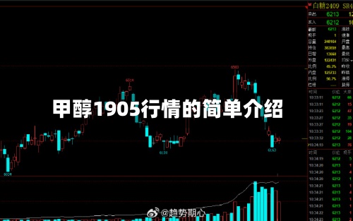 甲醇1905行情的简单介绍-第2张图片