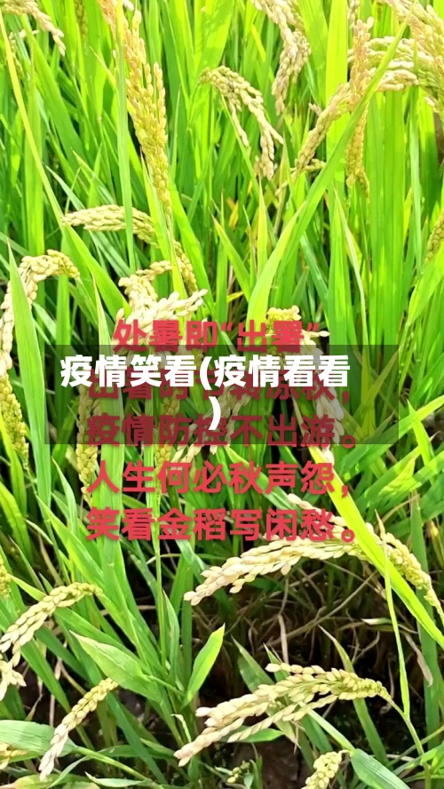 疫情笑看(疫情看看)-第2张图片