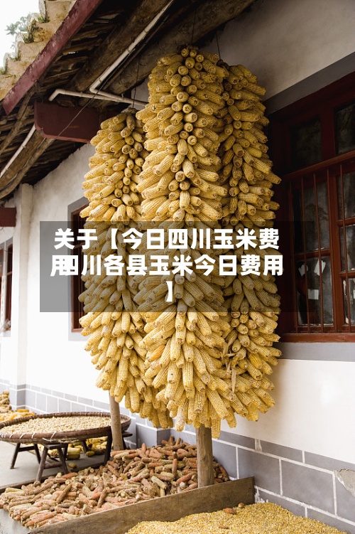 关于【今日四川玉米费用,四川各县玉米今日费用】-第3张图片