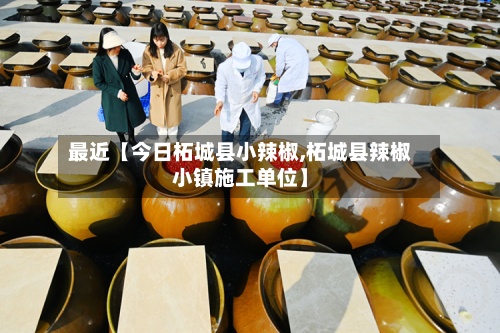 最近【今日柘城县小辣椒,柘城县辣椒小镇施工单位】