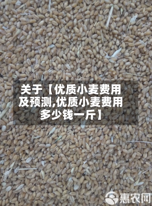 关于【优质小麦费用
及预测,优质小麦费用
多少钱一斤】