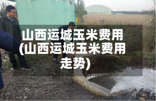 山西运城玉米费用
(山西运城玉米费用
走势)