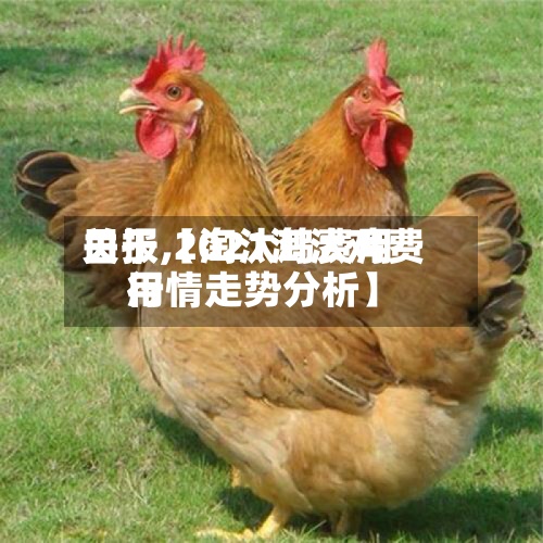 关于【淘汰鸡费用
日报,2021淘汰鸡费用
行情走势分析】-第2张图片
