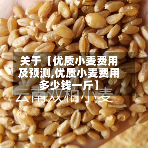关于【优质小麦费用
及预测,优质小麦费用
多少钱一斤】-第2张图片