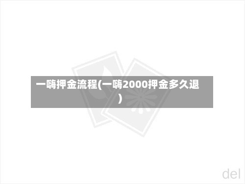 一嗨押金流程(一嗨2000押金多久退)