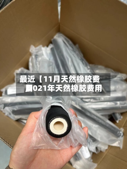 最近【11月天然橡胶费用,2021年天然橡胶费用】-第2张图片