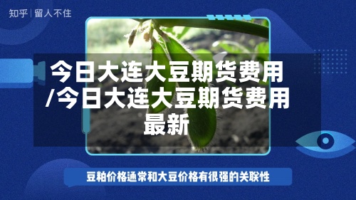 今日大连大豆期货费用
/今日大连大豆期货费用
最新