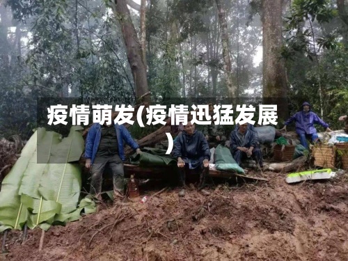 疫情萌发(疫情迅猛发展)-第3张图片