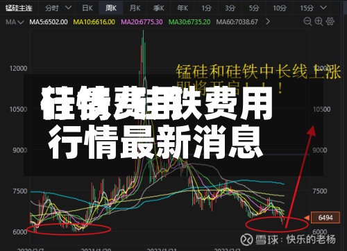硅铁费用
行情/硅铁费用
行情最新消息-第2张图片