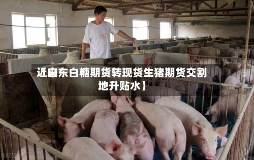 近来
【山东白糖期货转现货生猪期货交割地升贴水】-第2张图片