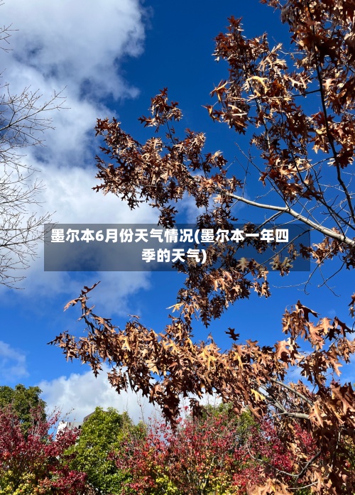 墨尔本6月份天气情况(墨尔本一年四季的天气)-第2张图片