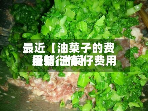 最近【油菜子的费用
行情,油菜仔费用
最新行情】-第3张图片