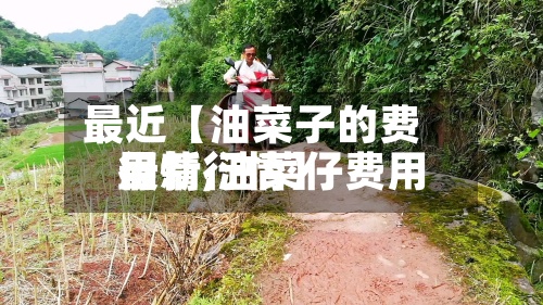 最近【油菜子的费用
行情,油菜仔费用
最新行情】-第2张图片