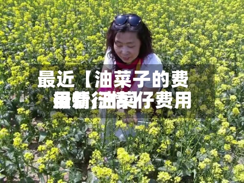最近【油菜子的费用
行情,油菜仔费用
最新行情】