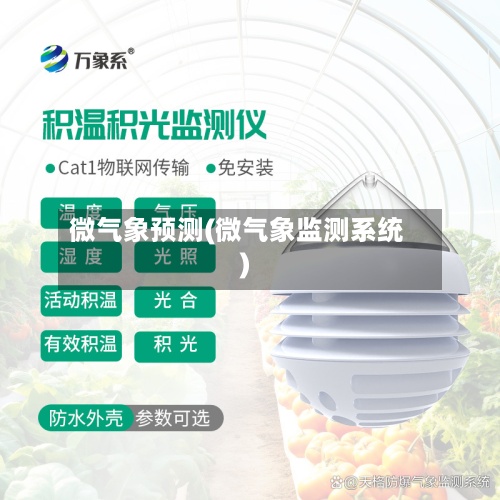 微气象预测(微气象监测系统)