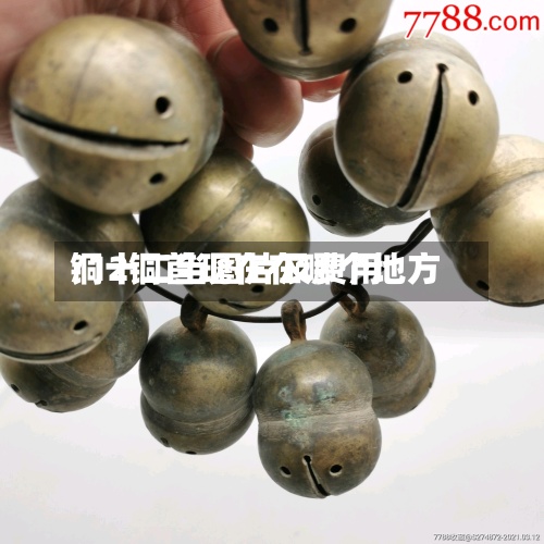 铜十二当图片及费用/12铜首现在在哪个地方