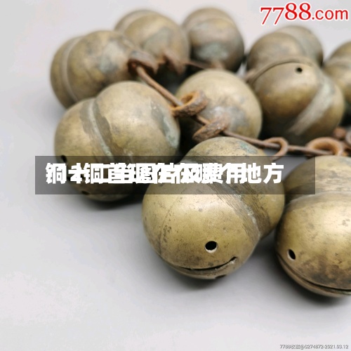 铜十二当图片及费用
/12铜首现在在哪个地方-第2张图片