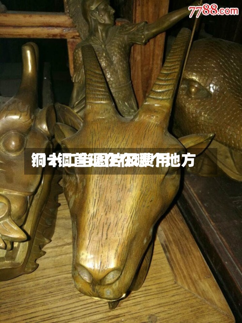 铜十二当图片及费用
/12铜首现在在哪个地方-第3张图片