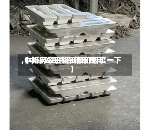 【中铝公司今日铝锭费用,中铝网今日铝锭报价百度一下】