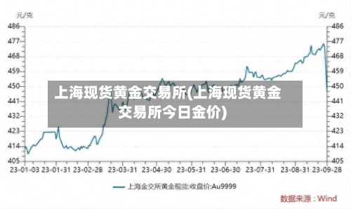 上海现货黄金交易所(上海现货黄金交易所今日金价)