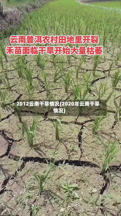 2012云南干旱情况(2020年云南干旱情况)
