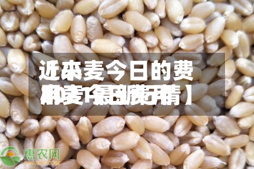 近来【小麦今日的费用小麦今日费用2021最新行情】