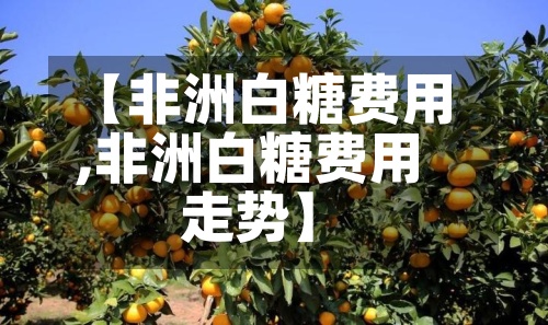 【非洲白糖费用,非洲白糖费用走势】
