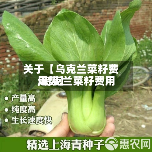关于【乌克兰菜籽费用
,乌克兰菜籽费用
走势】-第2张图片