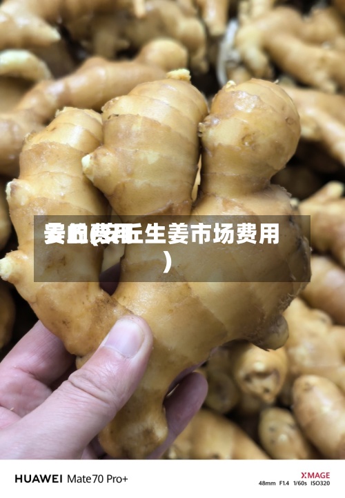 姜的费用
安丘(安丘生姜市场费用
)-第2张图片