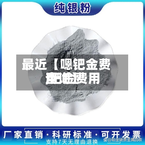 最近【嗯钯金费用,钯金费用查询】