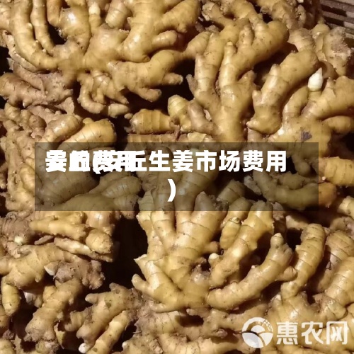 姜的费用
安丘(安丘生姜市场费用
)-第3张图片