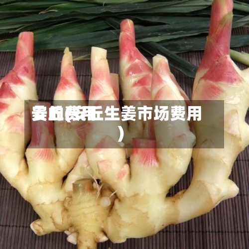 姜的费用
安丘(安丘生姜市场费用
)