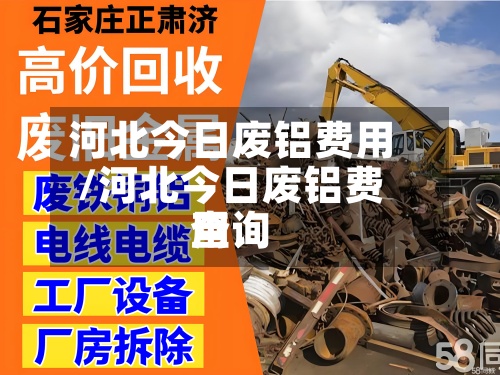 河北今日废铝费用
/河北今日废铝费用
查询-第2张图片
