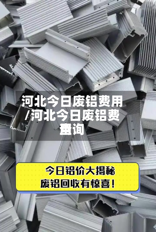 河北今日废铝费用
/河北今日废铝费用
查询-第3张图片