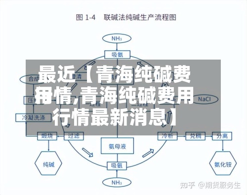 最近【青海纯碱费用
行情,青海纯碱费用
行情最新消息】