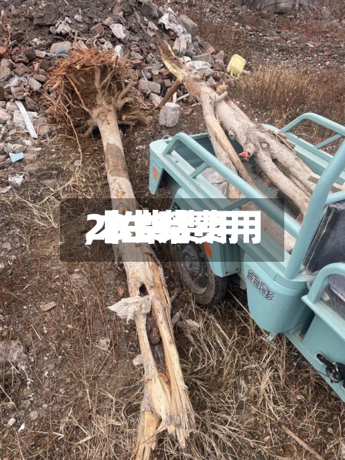 【生柴费用,木柴费用2019】-第2张图片
