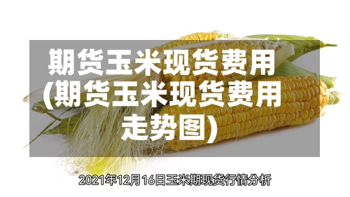期货玉米现货费用(期货玉米现货费用走势图)