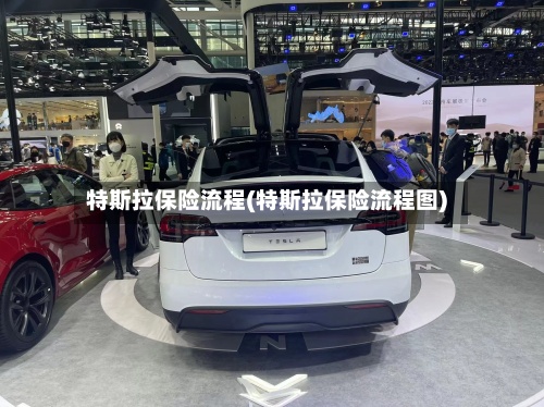 特斯拉保险流程(特斯拉保险流程图)